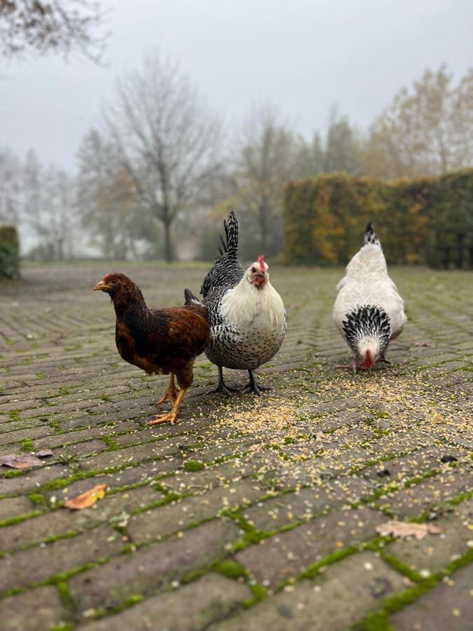 De Appelhoeve Terschuur ภายนอก รูปภาพ